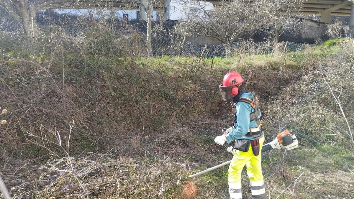 Otero de las Dueñas acogerá en junio una formación práctica sobre poda, desbroce y prevención de incendios