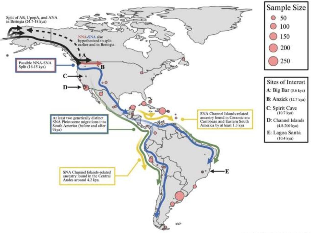Un enterramiento de Montana conserva el ADN americano más antiguo