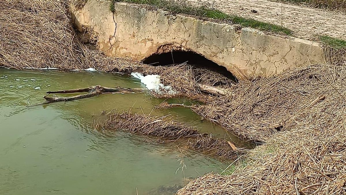 Situación en algunos cauces