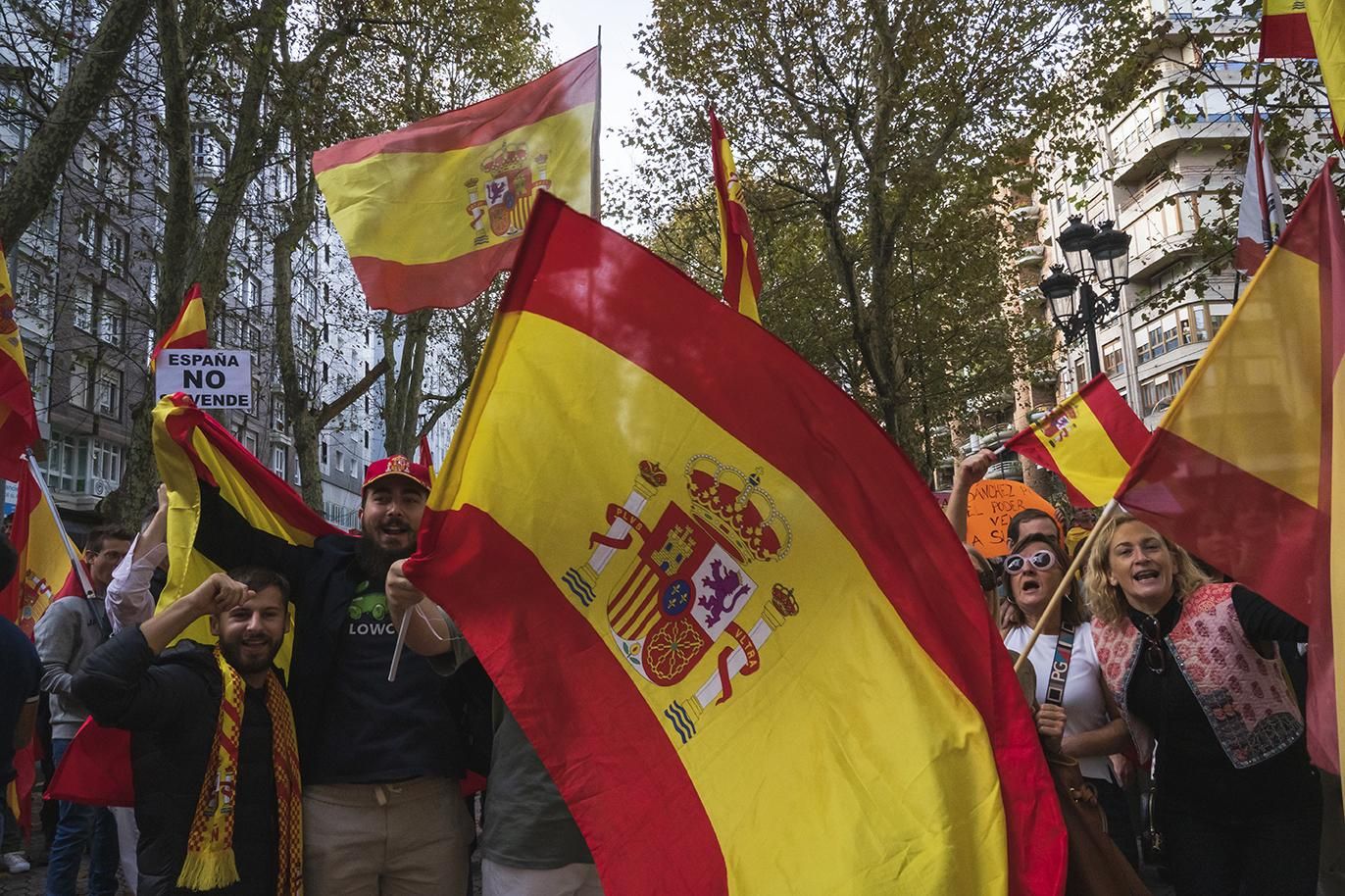 Los asistentes han portado numerosas banderas de España.