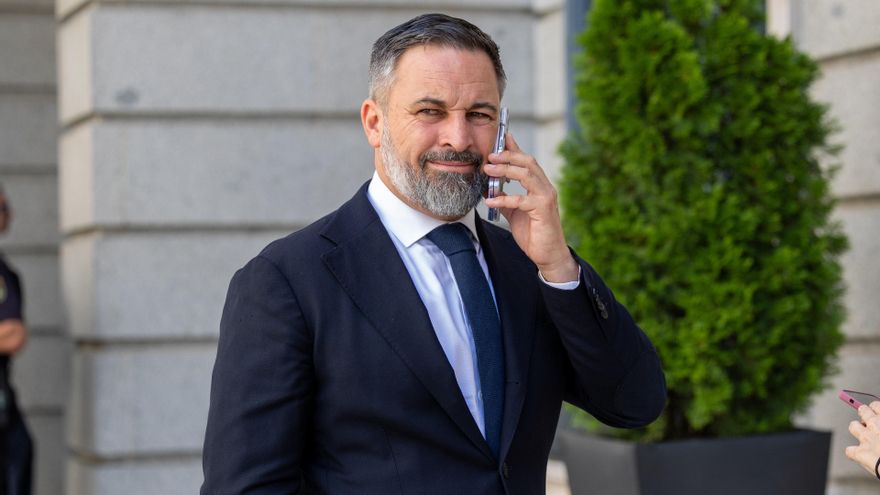 El líder de Vox, Santiago Abascal.