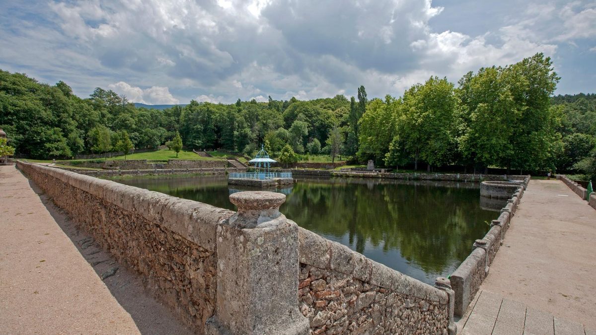 Bosque de Bejar