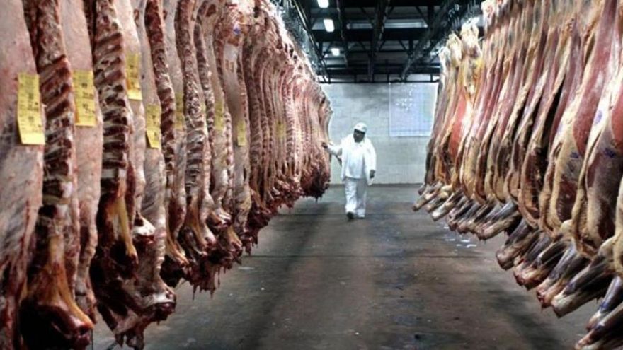 El Gobierno ajusta controles y extiende las restricciones sobre la exportación de carne
