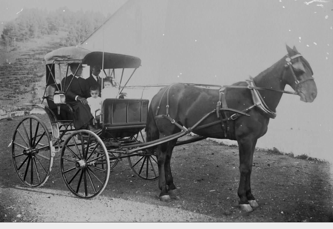 Fotografía antigua de La Palma del nuevo proyecto de Fernando Rodríguez Sánchez, administrador  de 'Cronología de Santa Cruz de La Palma'.