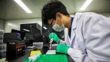 Los científicos buscan una fórmula para impedir la creación de bebés a la carta