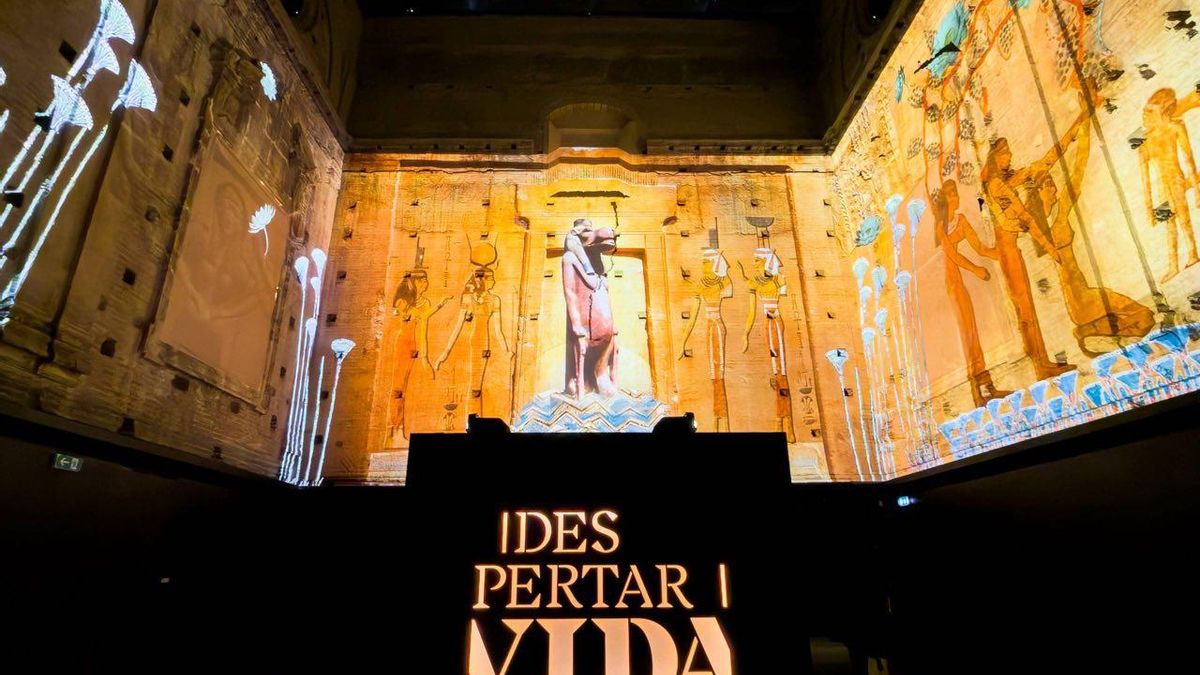 La Sala Orive, adaptada para el vídeo inmersivo que complementa la exposición de Egipto