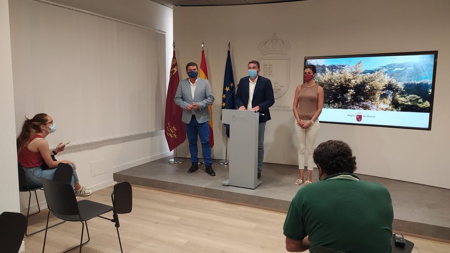 Ecologistas en Acción denuncia el "colapso" en la Dirección General de Medio Ambiente: 2.000 expedientes sin resolver