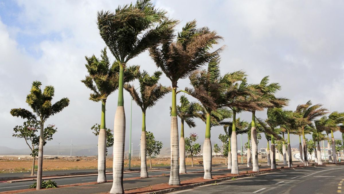 La Aemet prevé lluvias y fuertes rachas de viento este jueves en Canarias