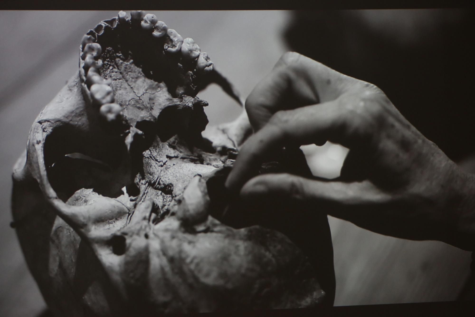 Exposición de Teresa Correa en el CAAM. 'Desmesurada-mente'