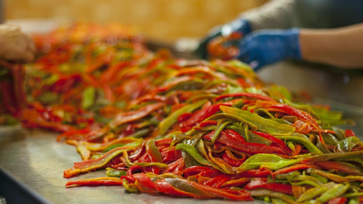 La campaña del pimiento es la que más trabajadores requiere