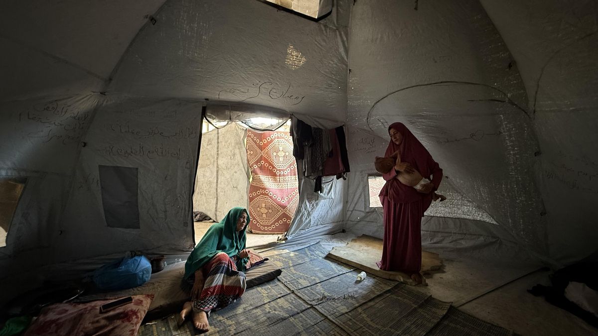 Protestar contra la hambruna de Gaza puede parecer inútil, pero no debemos parar