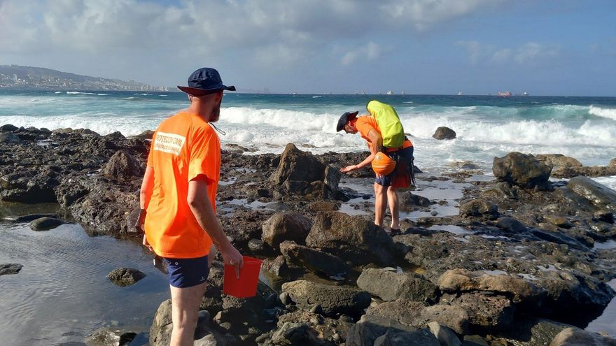 Arrancan las labores de limpieza del vertido que afecta a la costa de Gran Canaria