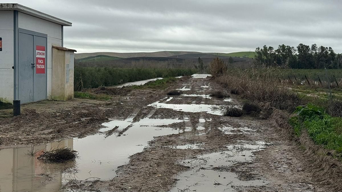 Camino embarrado tras el paso del temporal