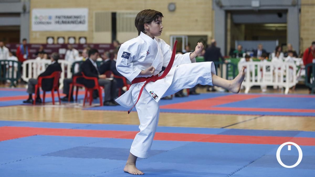Campeonato de Andalucía Infantil y Juvenil de kárate