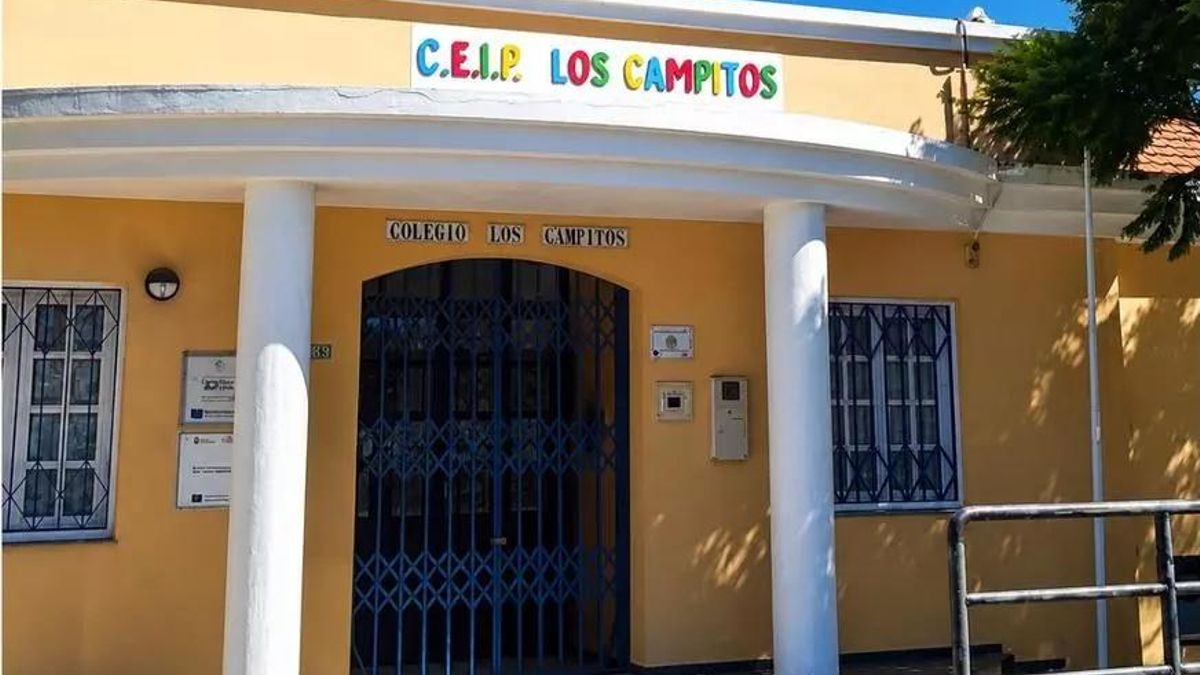 El PSOE “alinea” al Cabildo en defensa de las reivindicaciones de las comunidades educativas de Todoque y Los Campitos