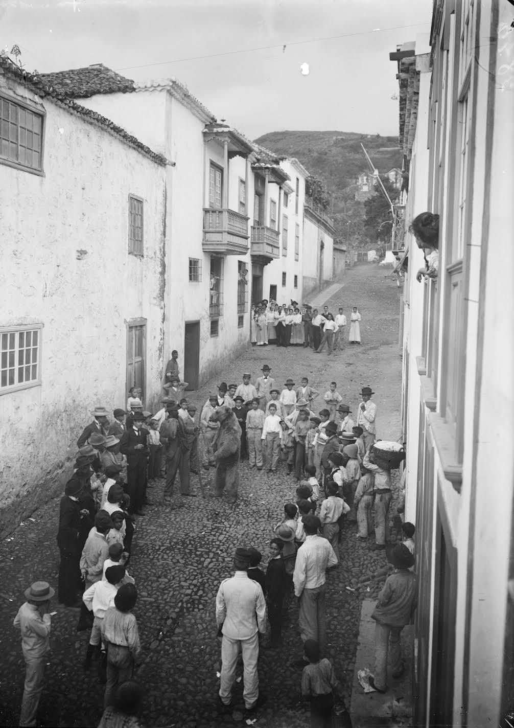 Imagen de Miguel Brito.