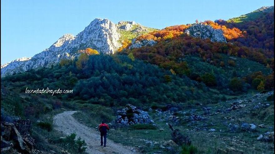 Llamazares – Redilluera: una ruta por los faedos de Bodón. Imagen de la senda del Hayedo.