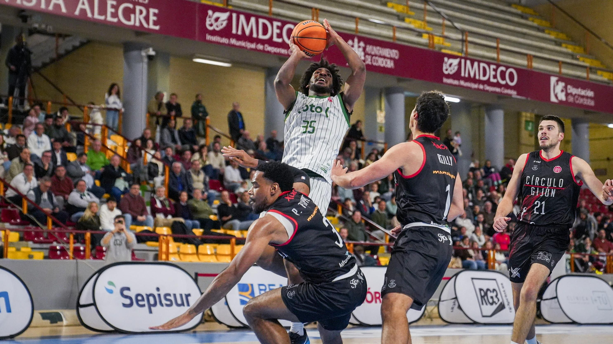 Coto Córdoba CB - Círculo Gijón Baloncesto