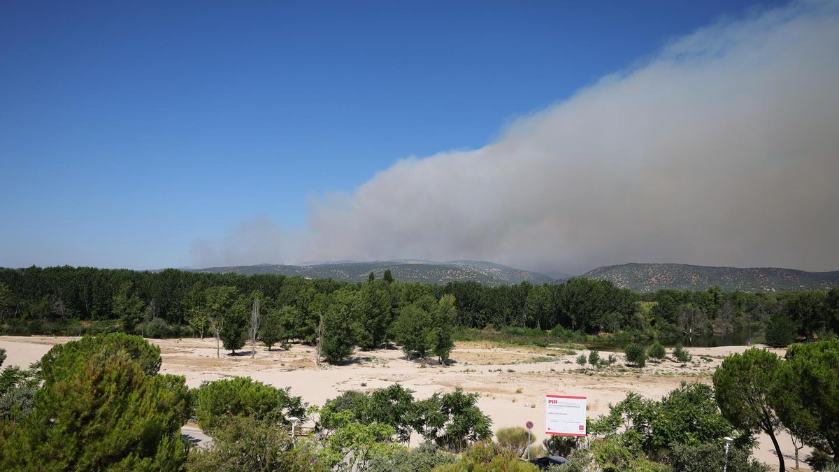 Vista de la humareda causada por el incendio forestal de Villa del Prado, en Madrid, cuyo origen se localiza en Almorox