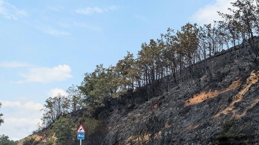 Zona ya quemada en el incendio en Murias de Ponjos