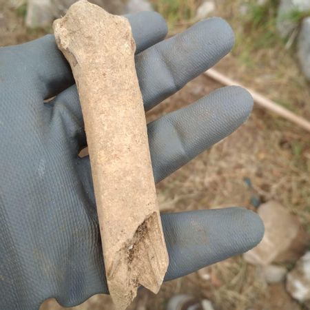 Uno de los huesos hallados en las excavaciones