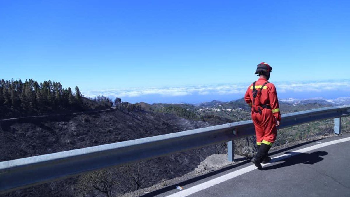 Las consecuencias del incendio en la cumbre de Gran Canaria