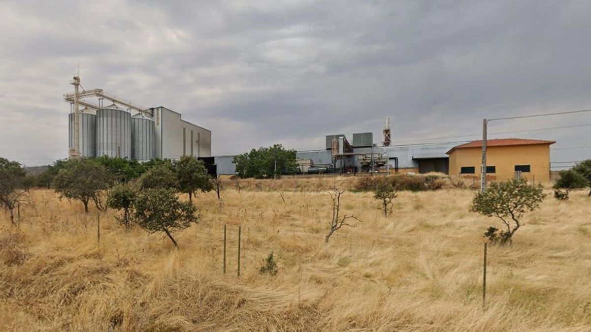 Muere un hombre al caer del tejado de una fábrica de piensos en Puebla de Alcocer