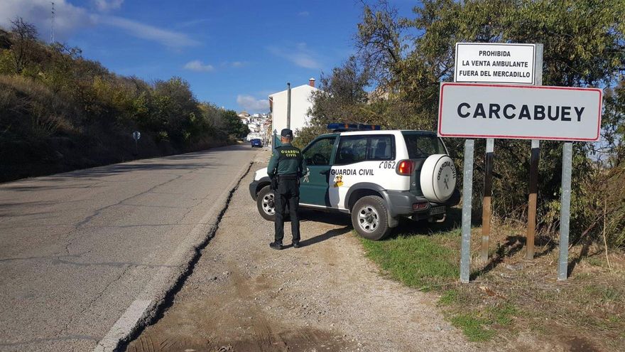 Operativo de la Guardia Civil por el gran robo de aceite de oliva en Carcabuey