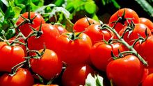 El tomate, protagonista de la feria.