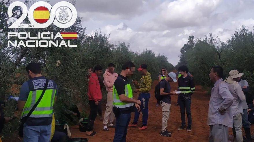 Trabajadores irregulares "explotados" en una finca de Dos Hermanas (Sevilla)