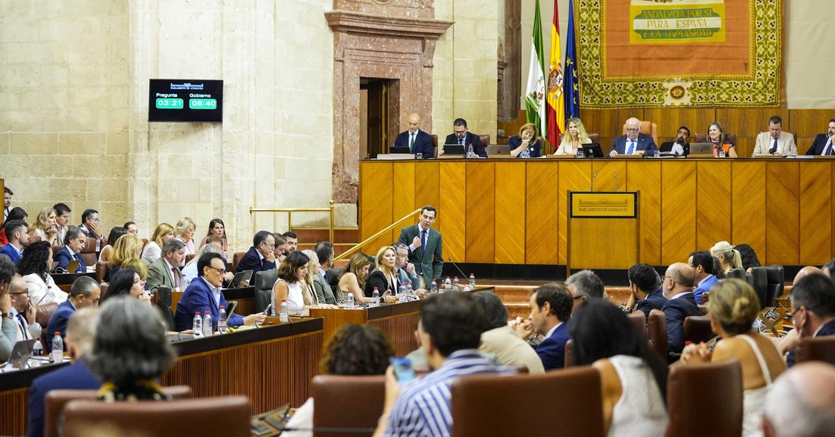 Sorpresa en el Parlamento andaluz: el PP apoya una iniciativa de las  izquierdas contra el "deterioro" de la sanidad pública