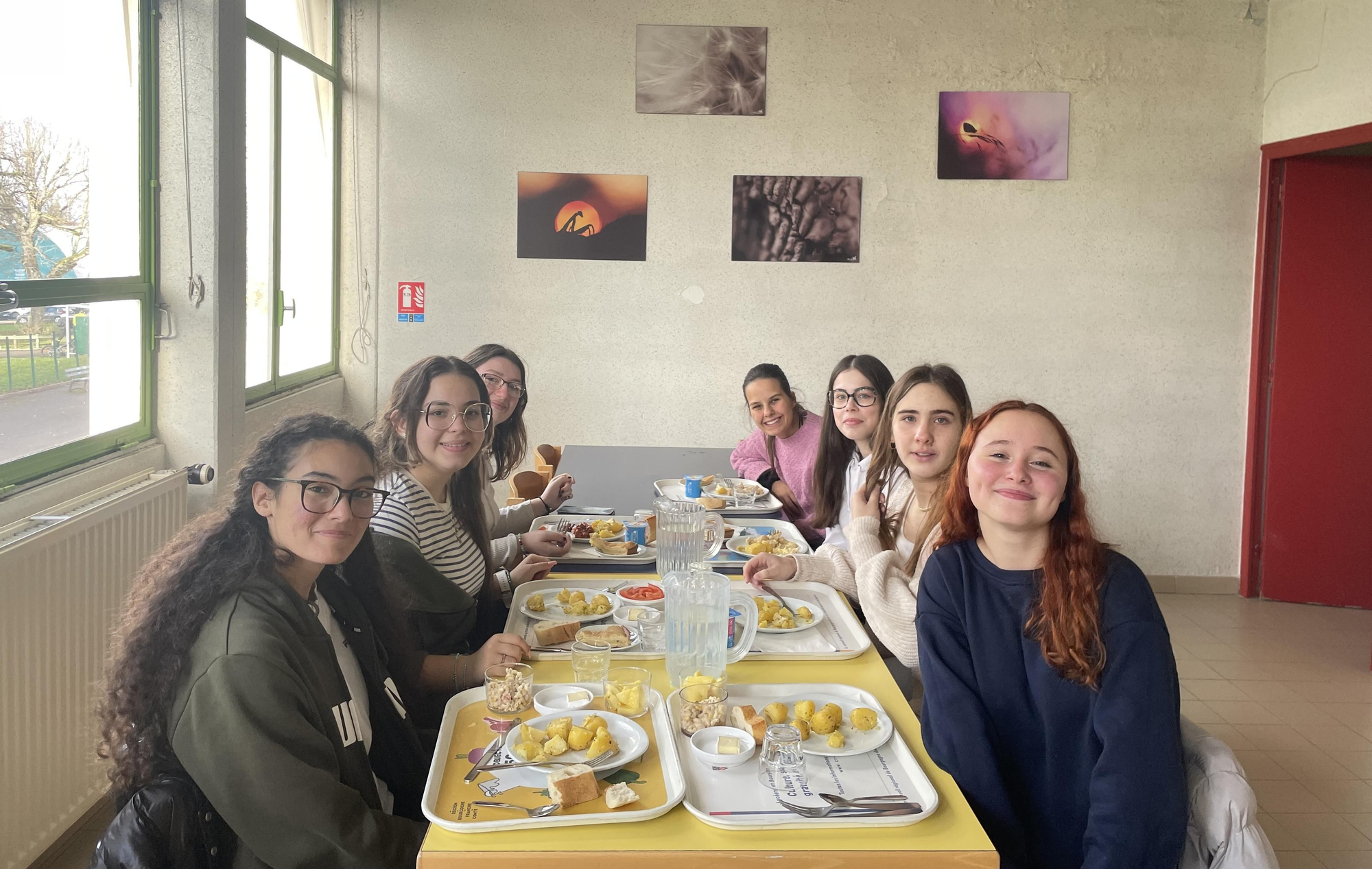 Diez alumnos y alumnas del IES Luis Cobiella Cuevas han pasado una semana en Avallon.