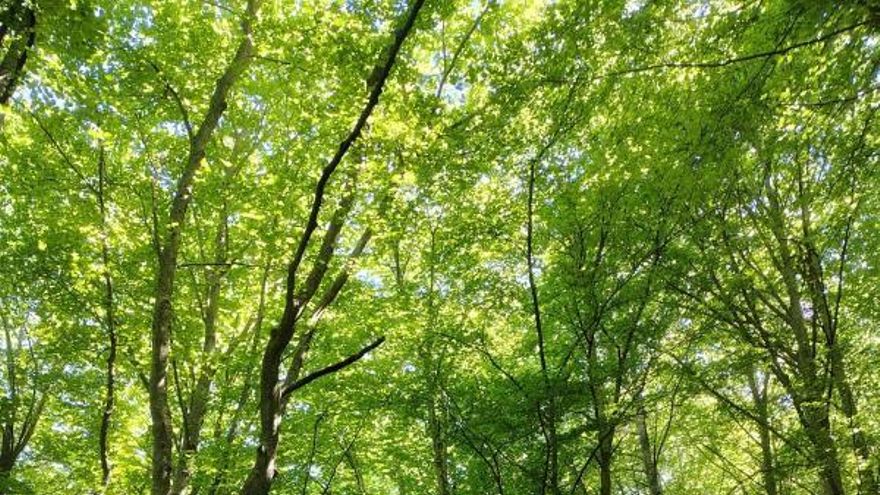 Un fin de semana para descubrir valores culturales y naturales en La Rioja