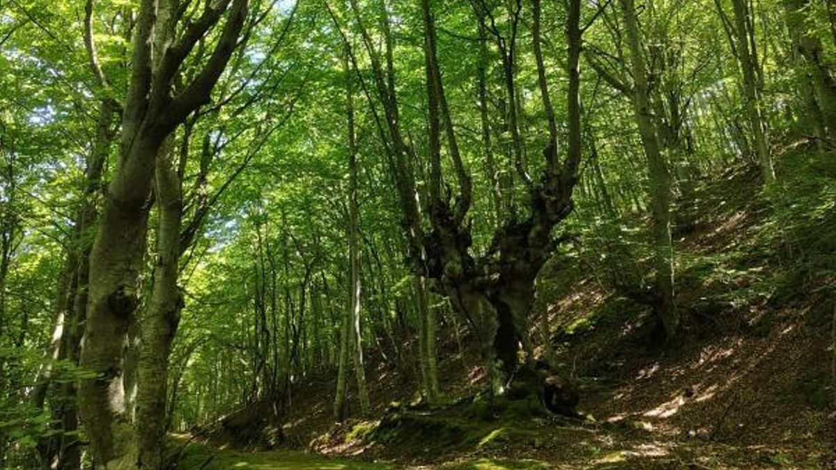 Un fin de semana para descubrir valores culturales y naturales en La Rioja
