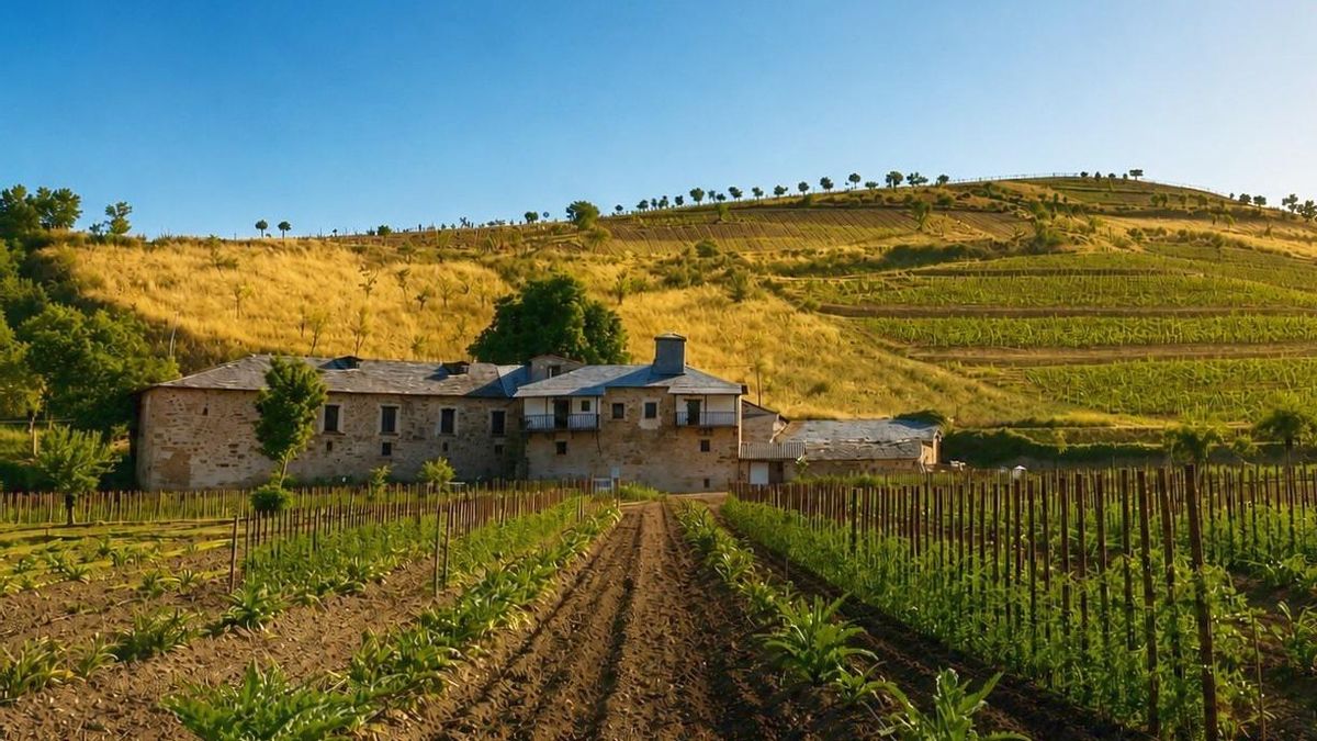 Encuentran una bodega de vino del siglo XVIII en un viejo priorato de El Bierzo en el que invierte Pescaderías Coruñesas