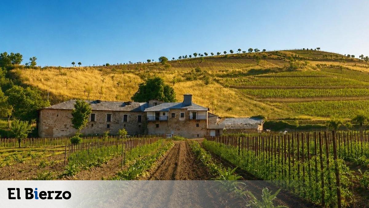 Encuentran una bodega de vino del siglo XVIII en un viejo priorato de El Bierzo en el que invierte Pescaderías Coruñesas