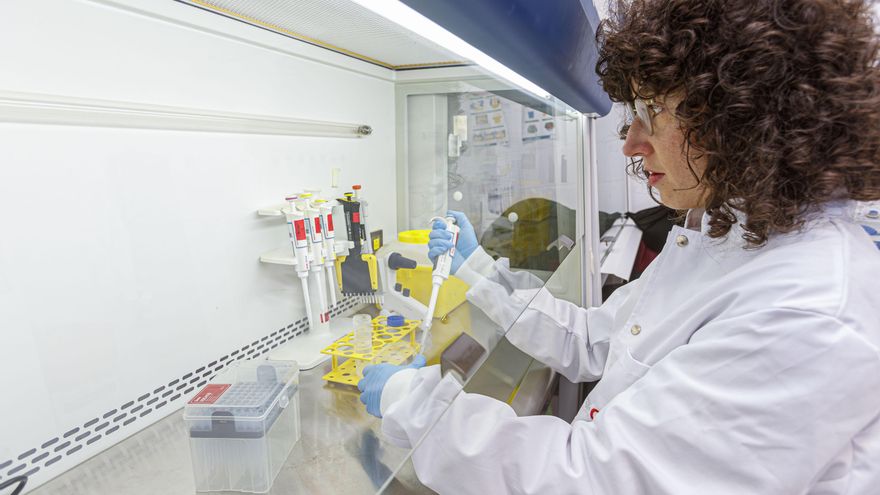 La doctora Águeda Sáenz Martínez, la investigadora principal de CoNFine.