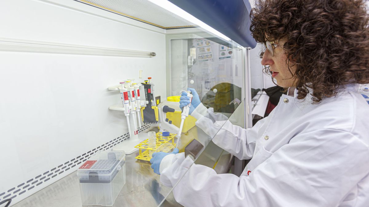 De Zaragoza a las pirámides mayas: enzimas y nanotecnología al servicio del patrimonio