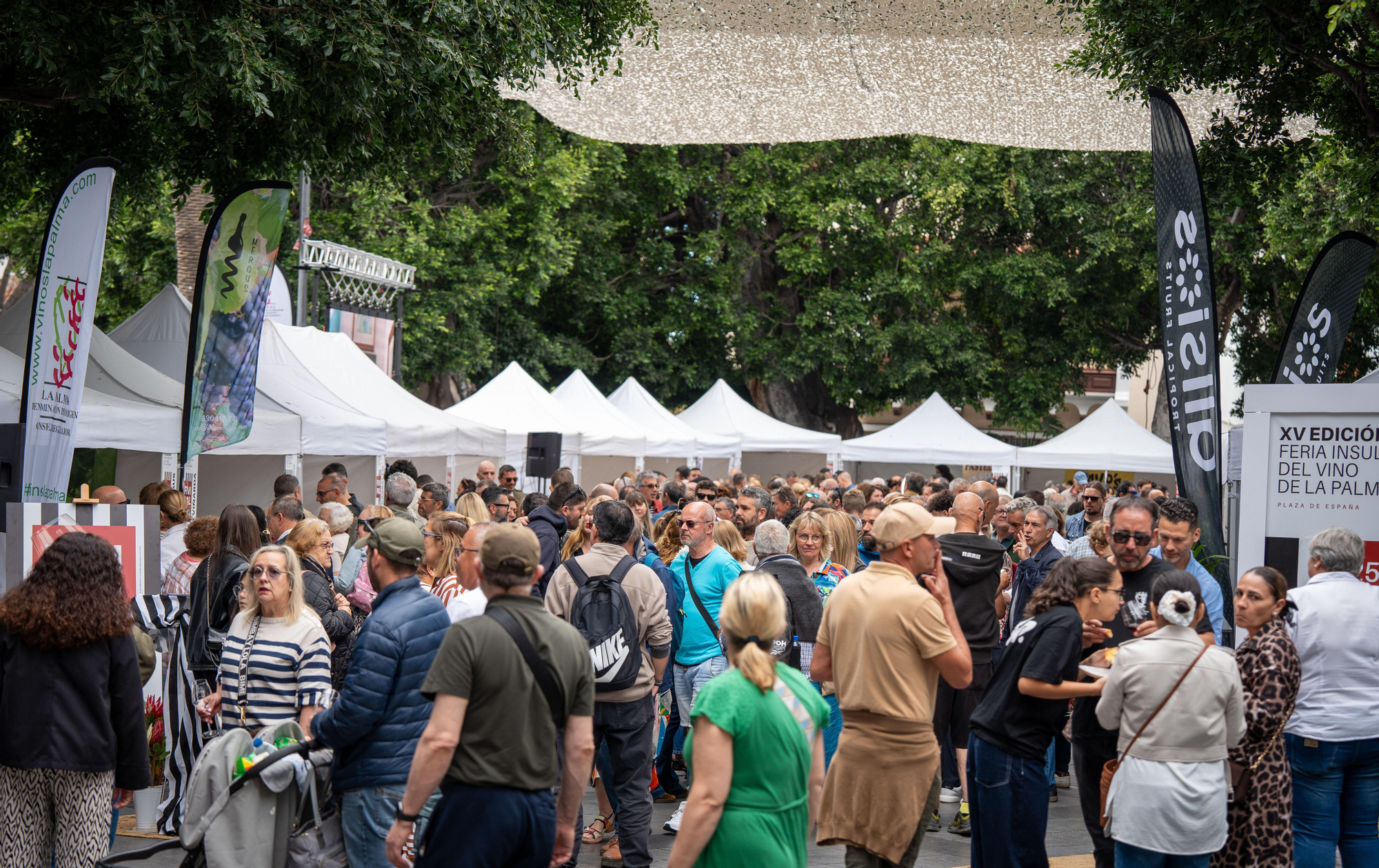 El Consejo Regulador celebra el éxito de la XV Feria del Vino de Los Llanos de Aridane.