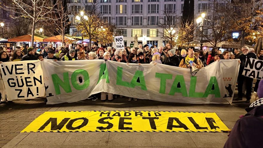 El Ayuntamiento talará 5 árboles en Santa Ana en lugar de los 29 previstos y anuncia trasplantes después de la presión vecinal