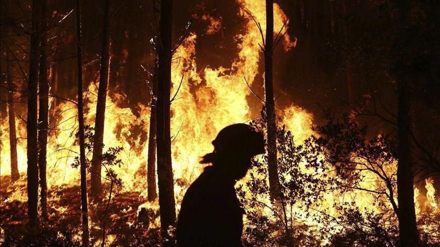 Las claves para entender por qué en Cantabria hay más incendios forestales en febrero y marzo