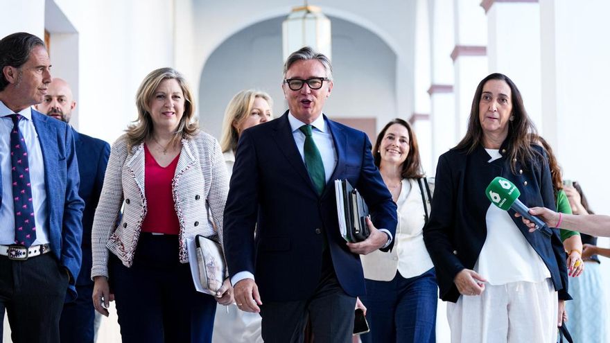 El portavoz del grupo parlamentario Vox en Andalucía, Manuel Gavira (3d), acompañado por los miembros de su bancada, llegando al hemiciclo del Parlamento para intervenir en la segunda jornada del debate de investidura