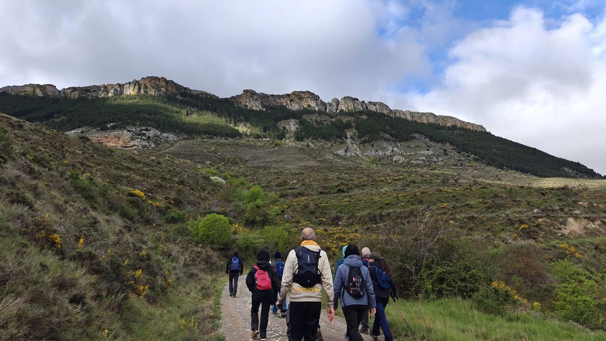 Cuatro actividades de Pasea La Rioja este fin de semana