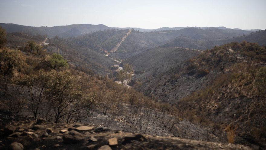 Las 33.000 hectáreas quemadas en el incendio de Niebla lo convierten en el segundo mayor de Andalucía
