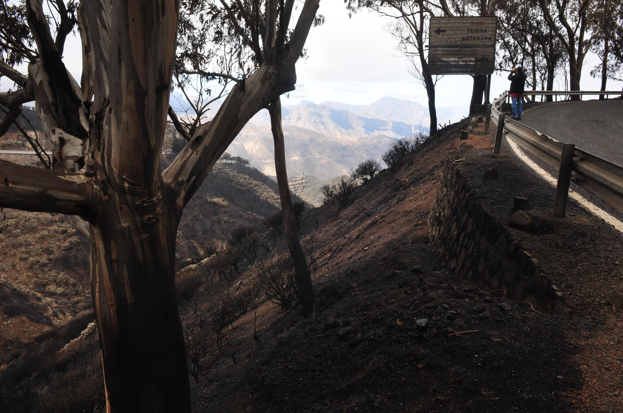 Efectos del incendio en la Cruz de Tejeda. (ÁNGEL SARMIENTO)