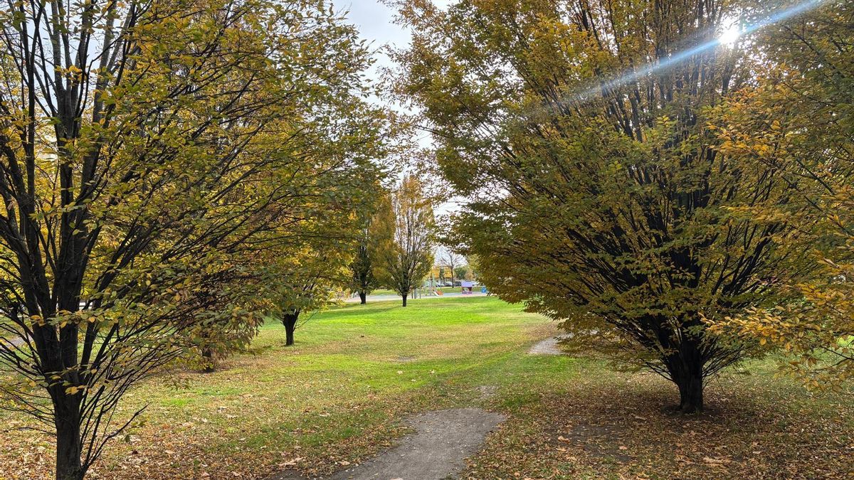 El tiempo de este domingo en La Rioja: cielo nuboso y máximas rondando los diez grados