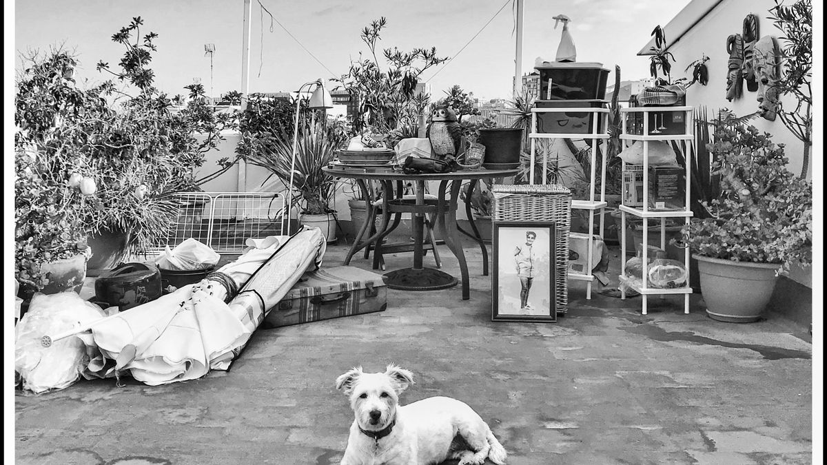 La Mudanza de Mía. ©️Leandro Betancor, 2020.