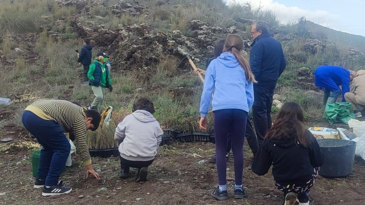 Hacer nacer un bosque en la Cartagena Oeste