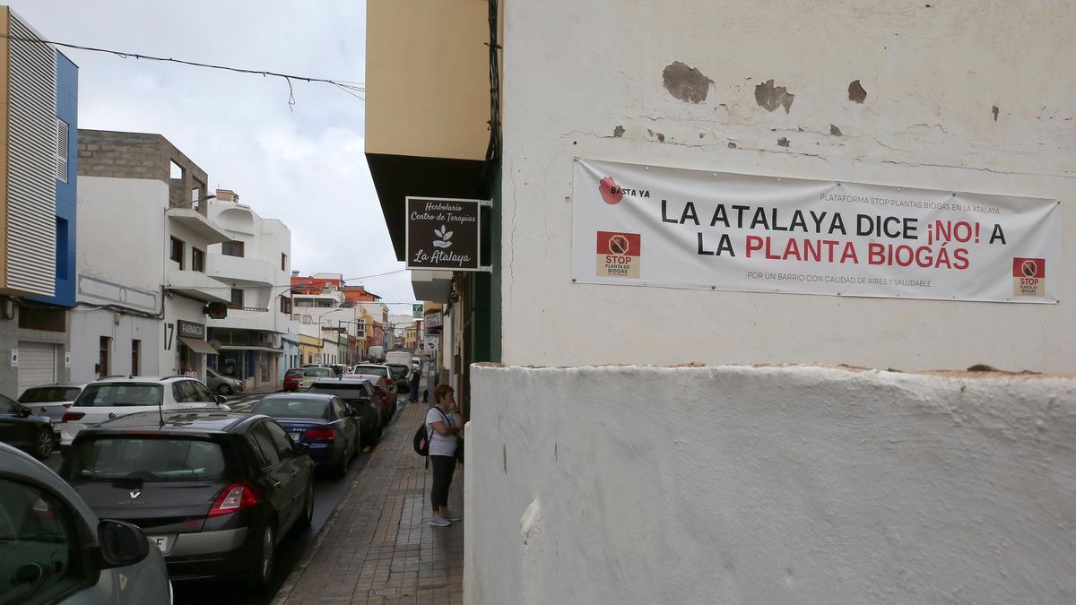 Oposición vecinal a una planta de biogás en el norte de Gran Canaria: “No queremos  ser el estercolero de la isla”