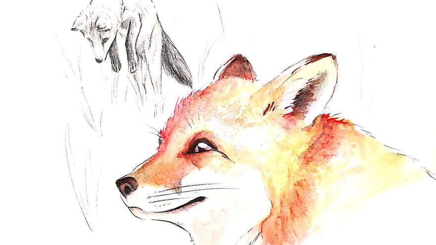 Ilustración para el libro 'La voz de los animales'